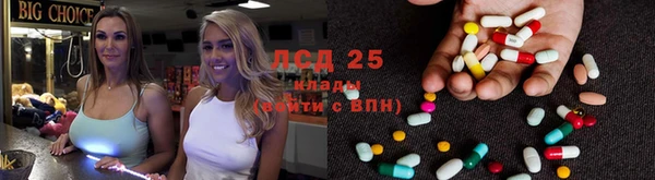дурь Алексин