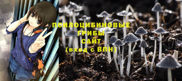 a pvp Алексеевка