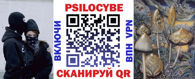 Псилоцибиновые грибы прущие грибы закладка Раменское